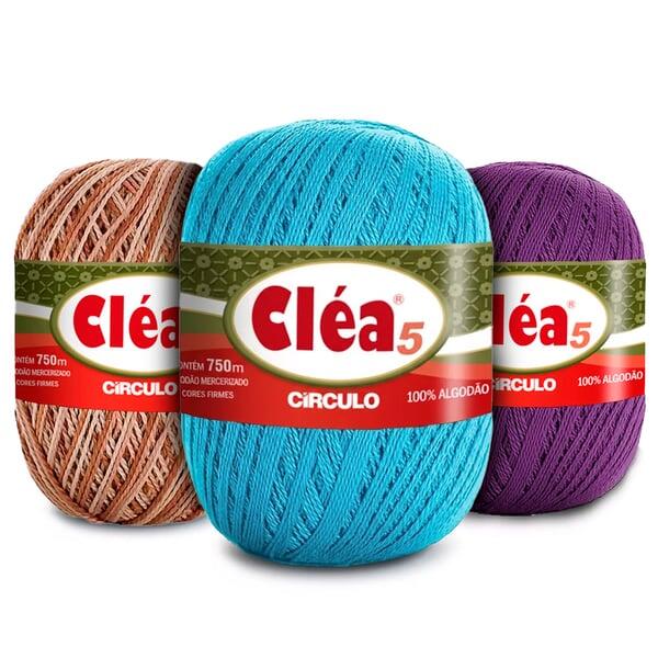 2-clea-5-principal