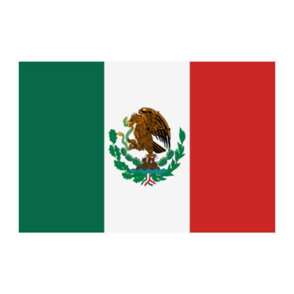 Aplique-Visa-Bandeira-Mexico