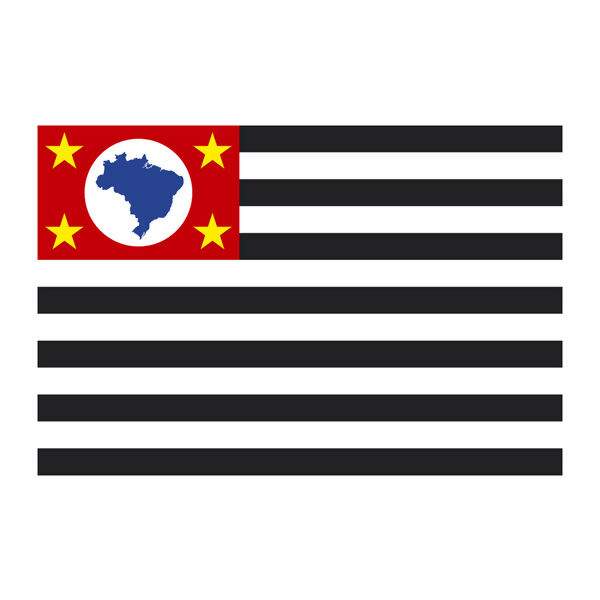 Aplique-Visa-Bandeira-Sao-Paulo