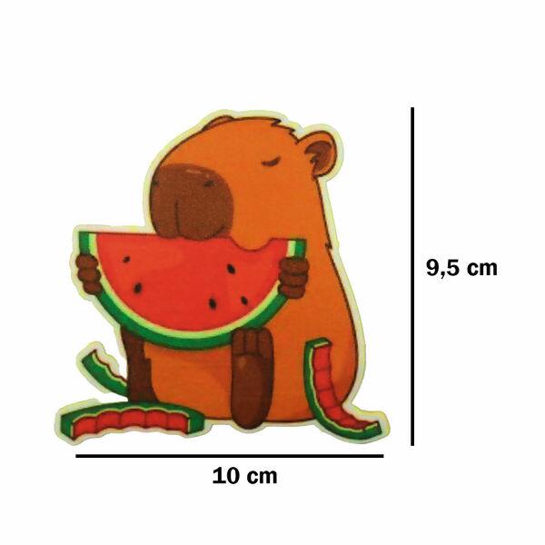 Capivara-Melancia-Medidas-021655