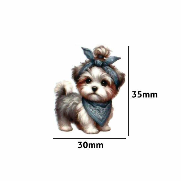 Chachorro-Lenco-MEdi