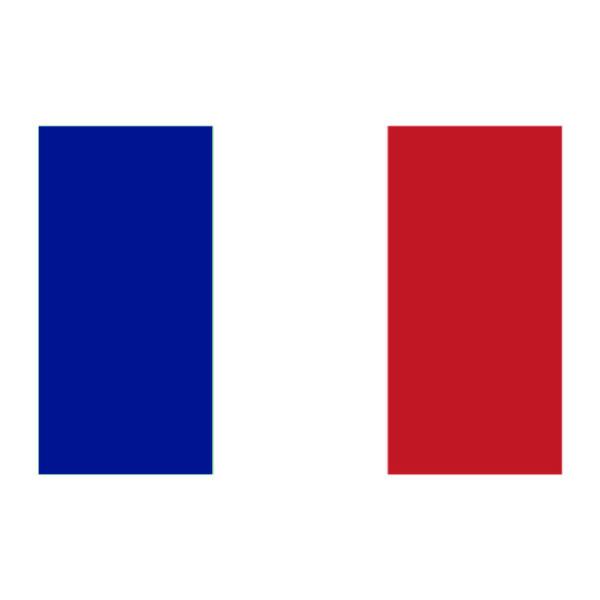Aplique-Visa-Bandeira-Franca
