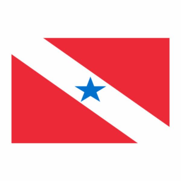 Aplique-Visa-Bandeira-Para