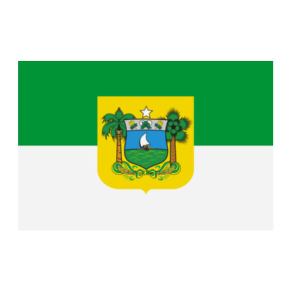 Aplique-Visa-Bandeira-Rio-Grande-Norte