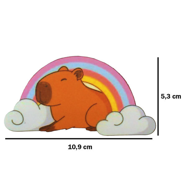 Capivara-Arco-Iris-Medidas-021652