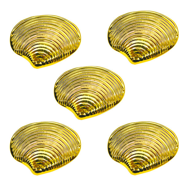 fivelaconcheprincipal