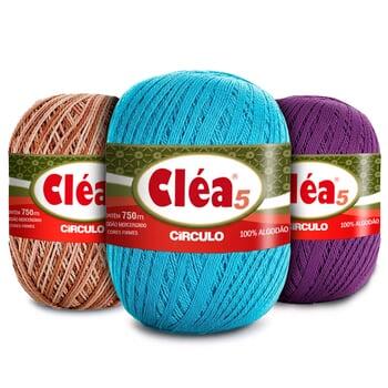 2-clea-5-principal