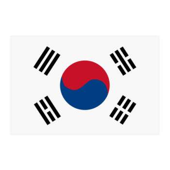 Aplique-Visa-Bandeira-Coreia