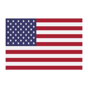 Aplique-Visa-Bandeira-EUA