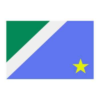 Aplique-Visa-Bandeira-Mato-Grosso-Sul