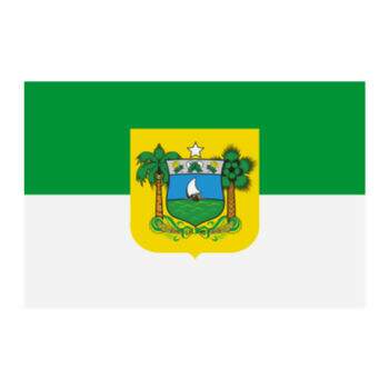 Aplique-Visa-Bandeira-Rio-Grande-Norte