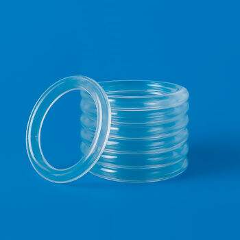 Argola-150-RITAS-Transparente-6