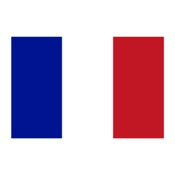 Aplique-Visa-Bandeira-Franca