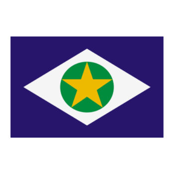 Aplique-Visa-Bandeira-Mato-Grosso1
