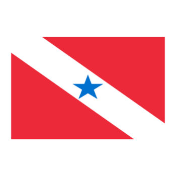 Aplique-Visa-Bandeira-Para