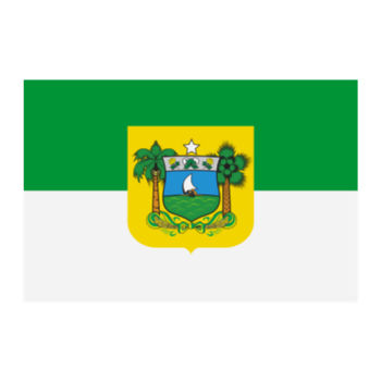 Aplique-Visa-Bandeira-Rio-Grande-Norte