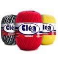 02-clea100-principal