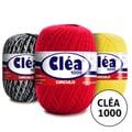 02-clea100-secundaria