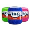 2-clea-125-pincipal
