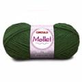 2-mollet-100g-5329-acelga