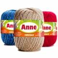 3-anneprincipal