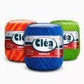 3-clea-125-pincipal