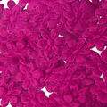 Aplique-Flor-1343-11mm-25un-Carol-Pink