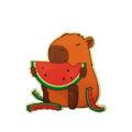 Aplique-Termocolante-Capivara-Melancia-021655