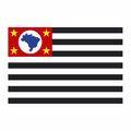 Aplique-Visa-Bandeira-Sao-Paulo