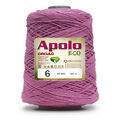 Apolo-6-Pitaya-3182