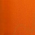 Fita-Gorgurao-N02-066