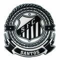 SANTOS-10474