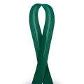 Vies-Liso-CInderela-12mm-20m-18-Verde-Bandeira