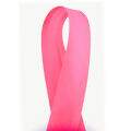 Vies-Liso-CInderela-25mm-20m-92-Rosa-Fluor