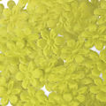 Aplique-Flor-1343-11mm-25un-Carol-Amarelo