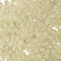 Aplique-Flor-1343-11mm-25un-Carol-BegeNew