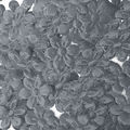 Aplique-Flor-1343-11mm-25un-Carol-Cinza