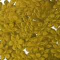 Aplique-Flor-1343-11mm-25un-Carol-Ouro