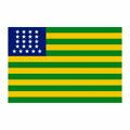 Aplique-Visa-Bandeira-Brasil-Antigo