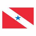 Aplique-Visa-Bandeira-Para