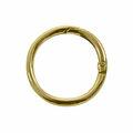 argola431419-circulo-dourado1