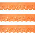 Bordado-Ingles-CTL-061-2-5cm-13m-Laranja