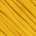 Cadarco-Rolico-Amarelo