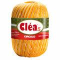 clea-5-MESCLADAS-RAIODESOL