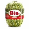 clea-5-oliva-mesclada