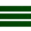 elastcolverdebandeira