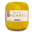 fio-encanto-1289