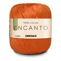 fio-encanto-4283