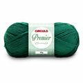 Fio-Premier-Circulo-100g-453