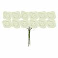 Flor-EVA-Grade-Creme